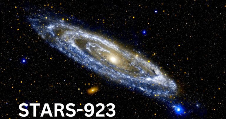 The Fascinating World of Stars-923 | Osh Business