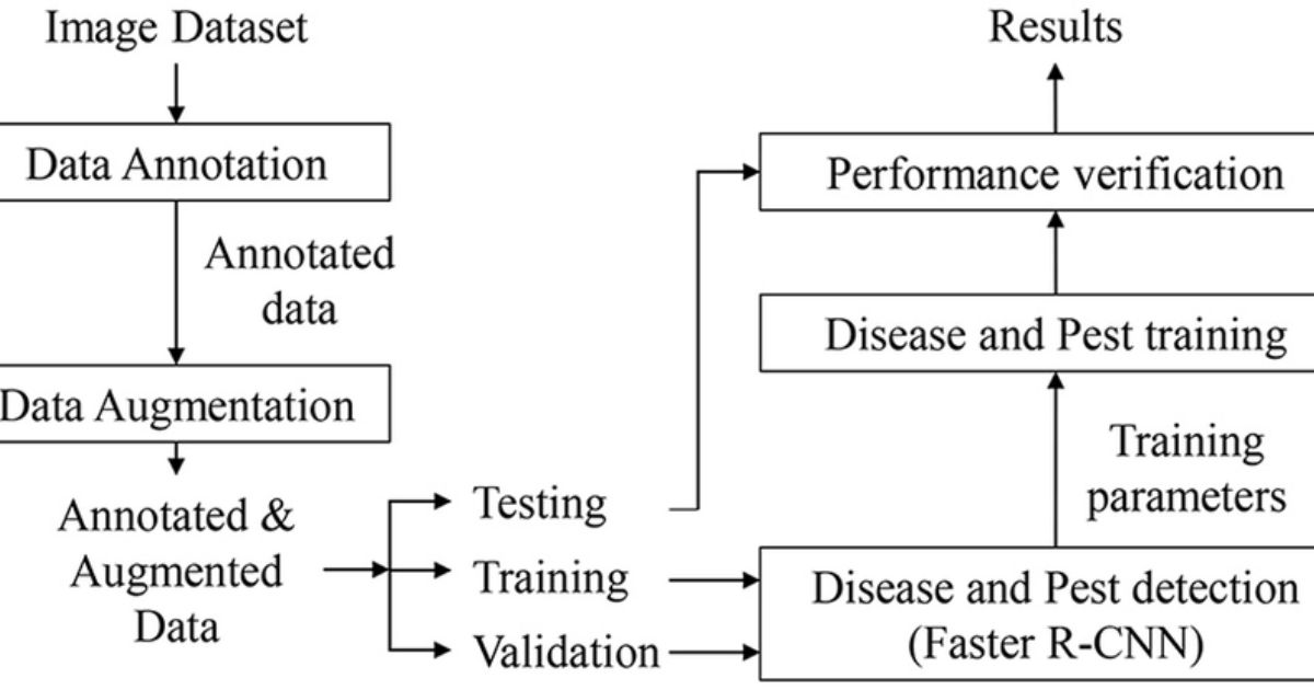 The Art of Precision in Data Annotation